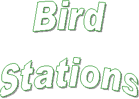 Bird
Stations